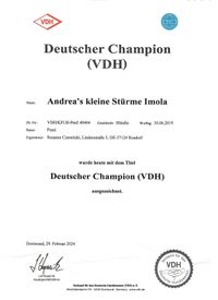 Champion VDH-Urkunde